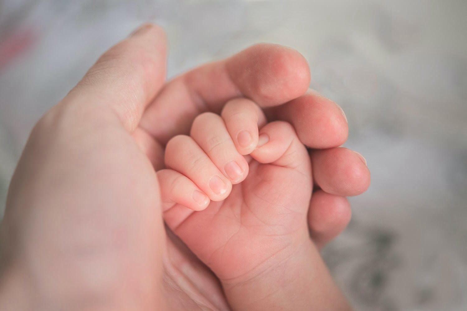 person holding baby's hand in close up photography