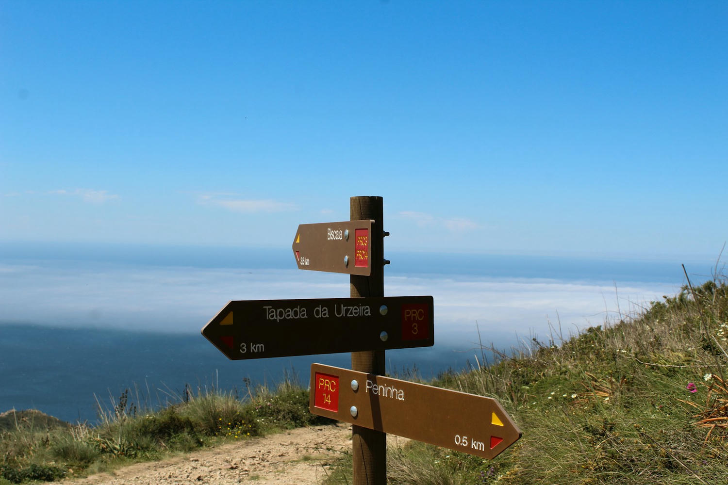 a sign post with a few signs on it