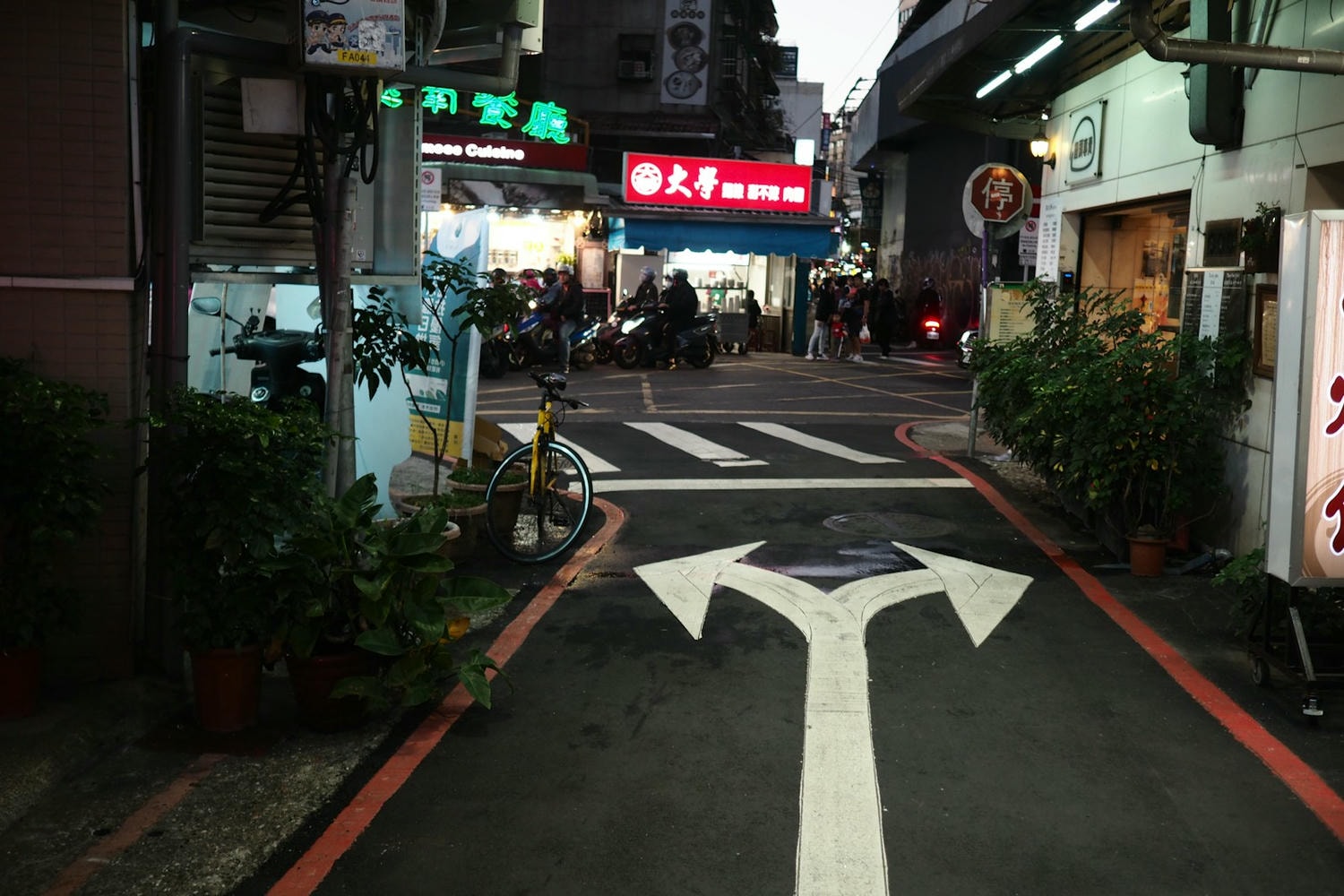 people walking on pedestrian lane during daytime