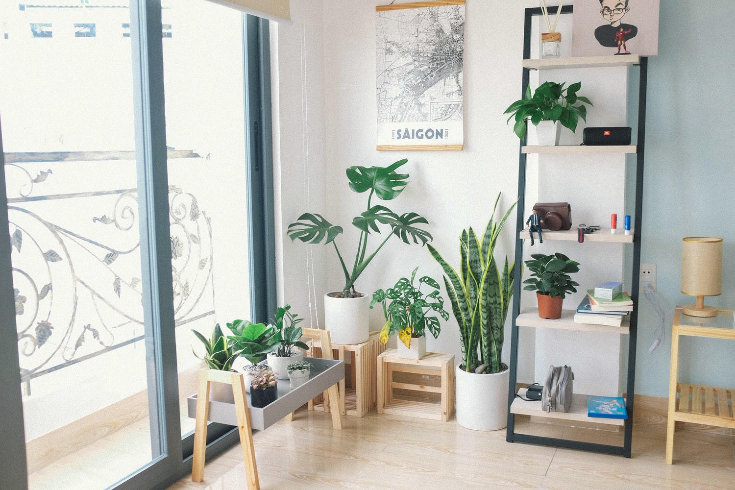 Swiss variety of plants in pots inside house